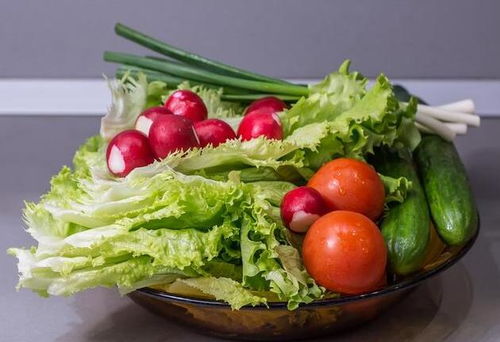 积食肚子胀不消化怎么办？全方位消食指南与运动营养策略