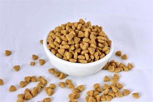 母蓝猫的包子脸与运动营养食品 科学喂养指南
